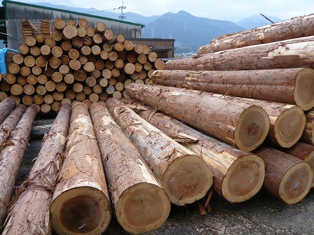 木材の準備と乾燥2
