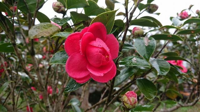 todaysmasaoka_20200222-01.jpg