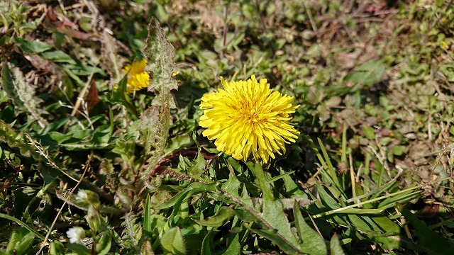todaysmasaoka_20200319.jpg