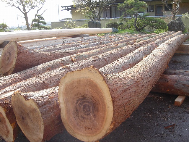 杉材の丸太