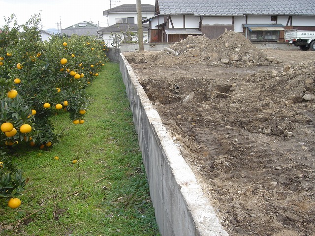 北側のヨウ壁　点検作業3