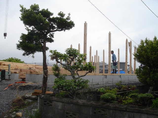 建前1日目の様子1