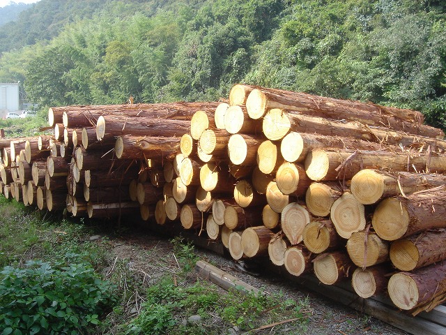 木材の準備・乾燥