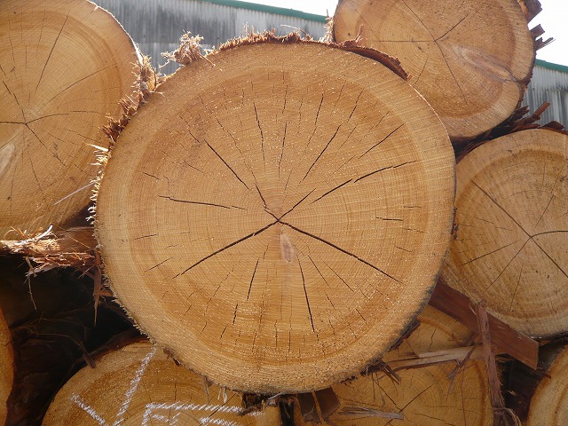 木材の準備・乾燥2