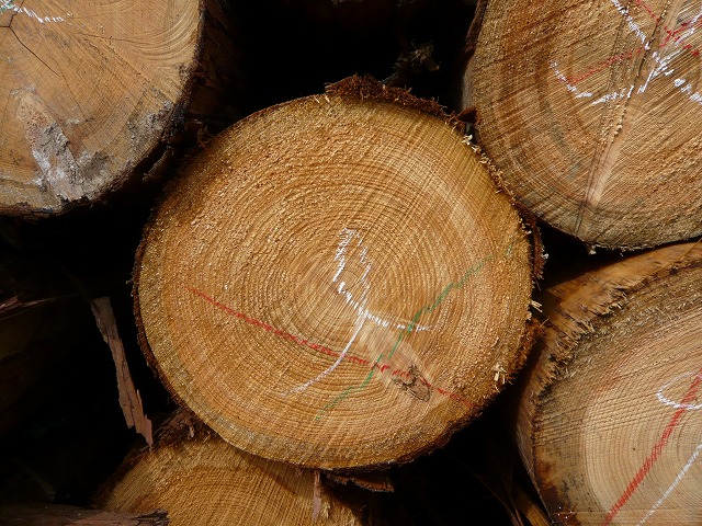 木材の準備と乾燥1