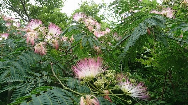todaysmasaoka_20210709.jpg